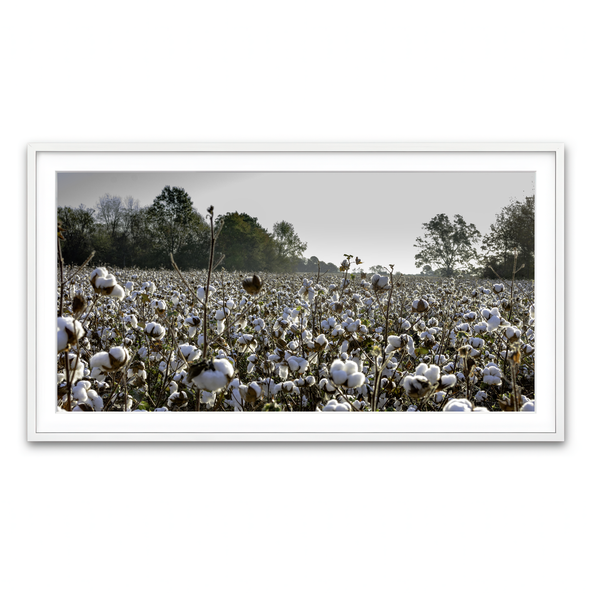 Framed Print 2x1 White