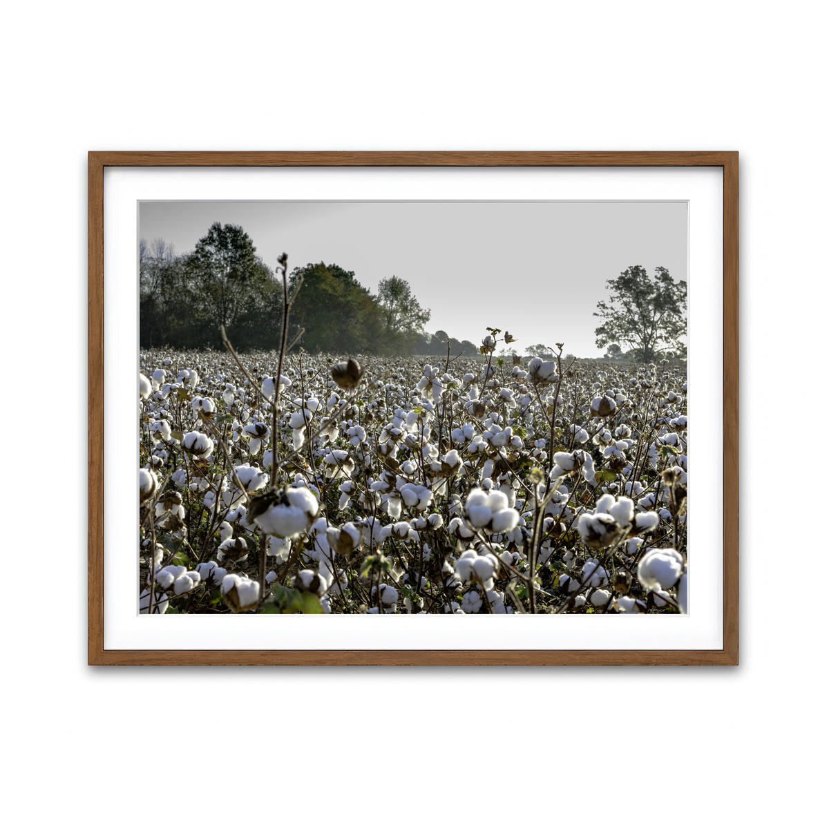 Framed Print 4x3 Walnut