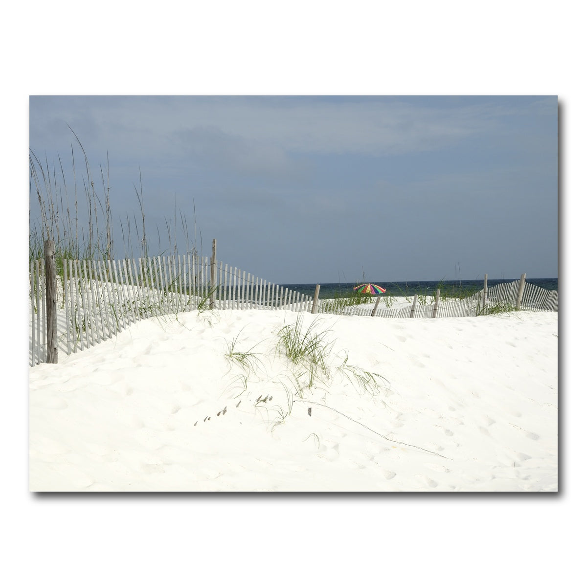 AUTO-MOCKUP WHITE | Alabama Gulf Coast | 1 Piece | Gallery Wrap Canvas | group=4x3