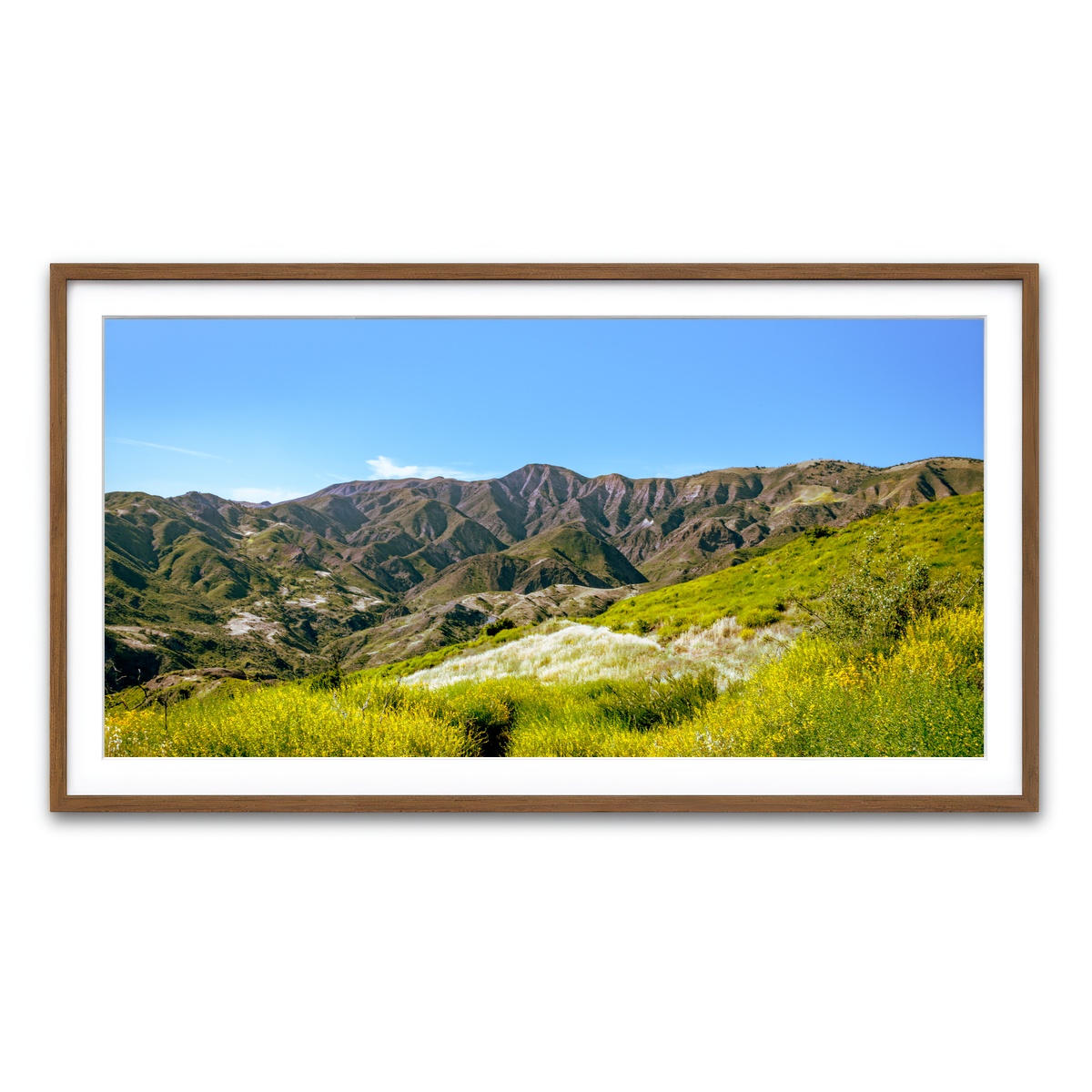 Framed Print 2x1 Walnut