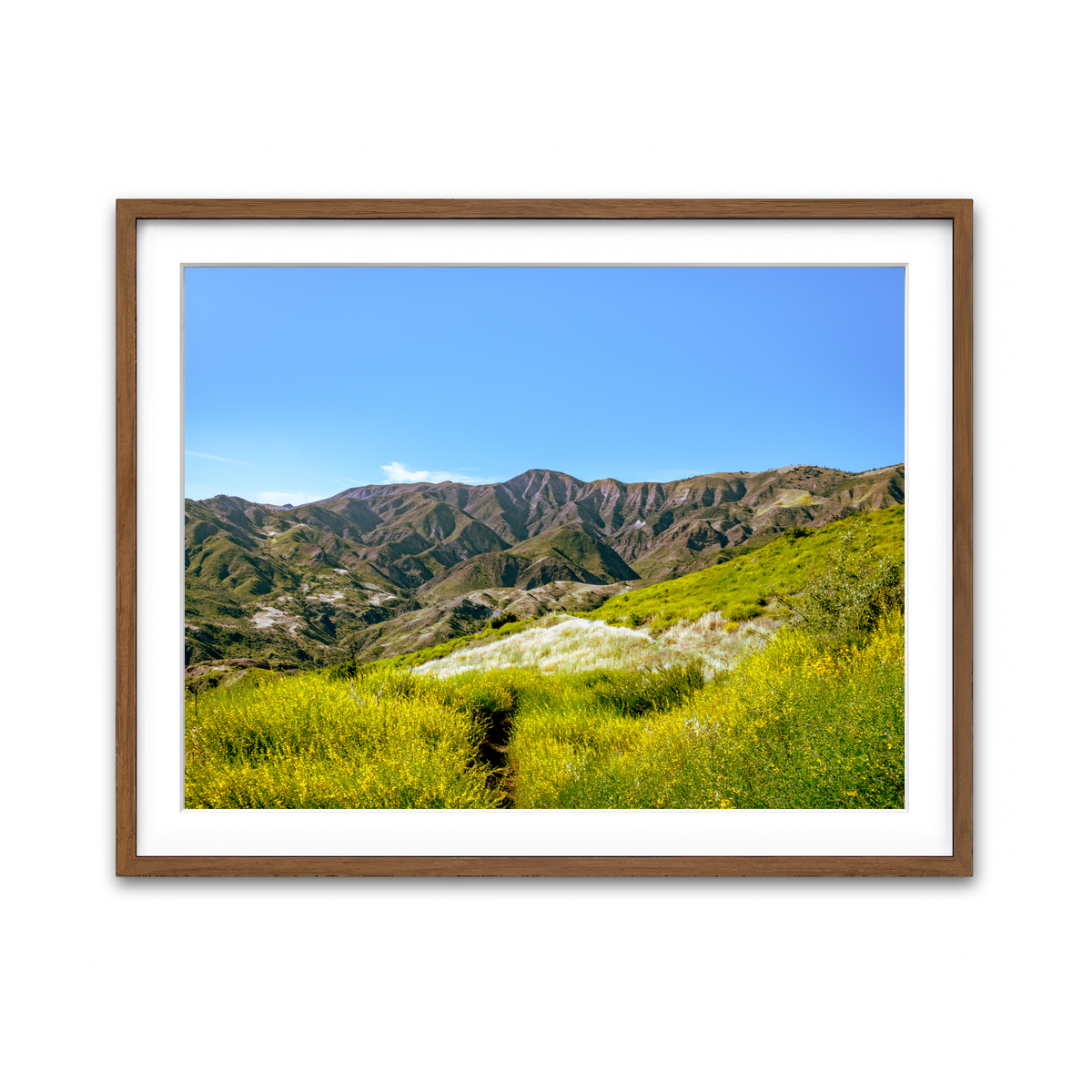 Framed Print 4x3 Walnut