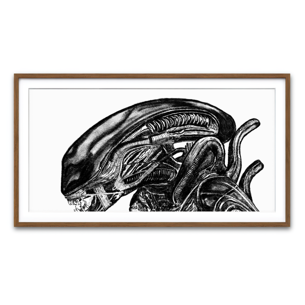 Framed Print 2x1 Walnut