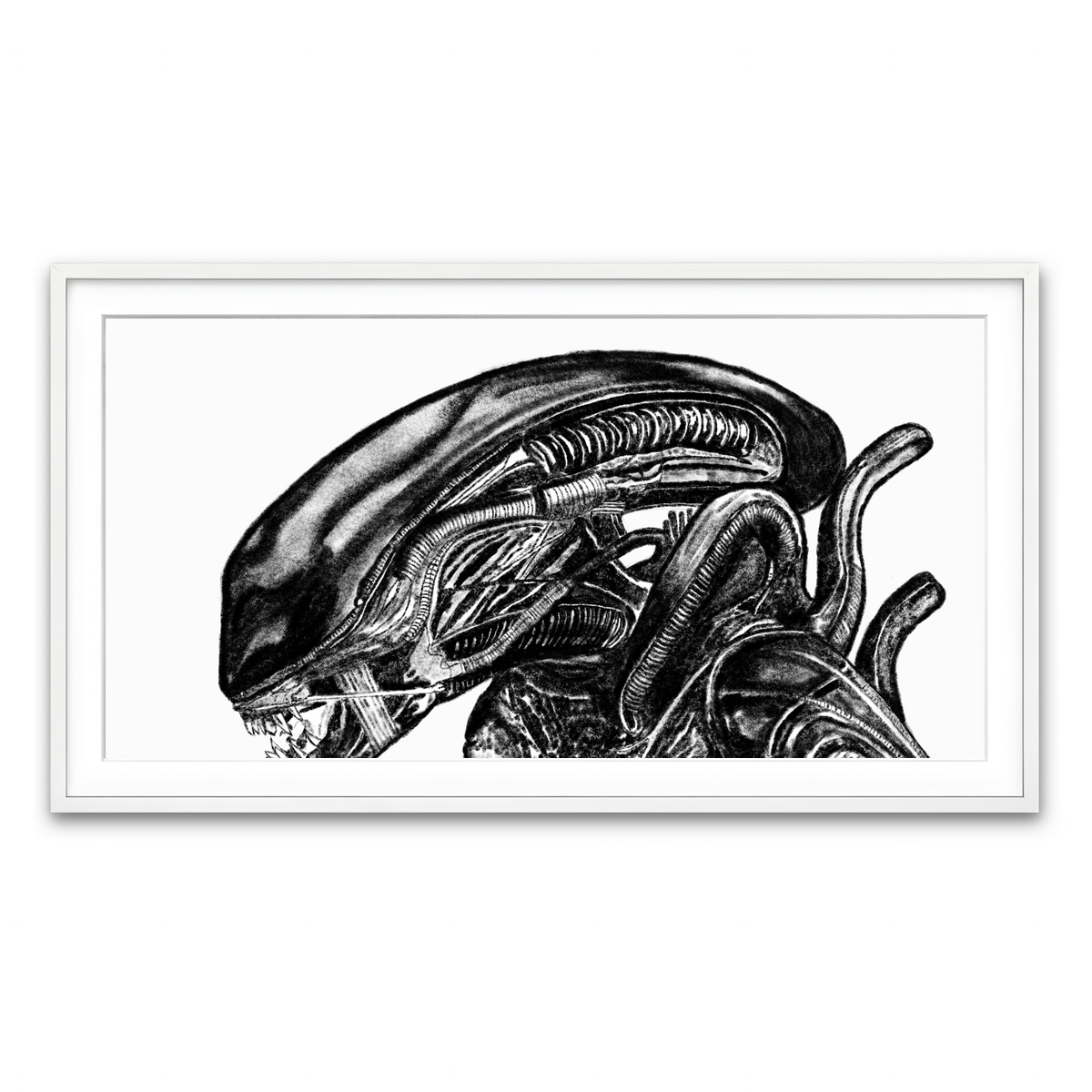 Framed Print 2x1 White