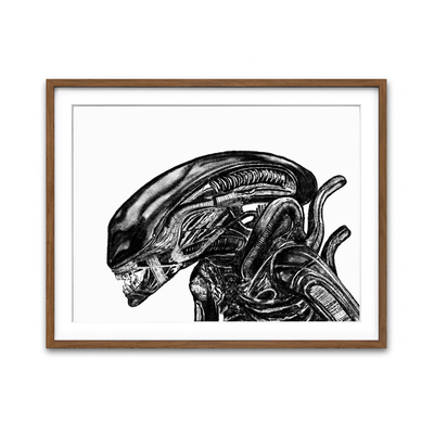 Framed Print 4x3 Walnut