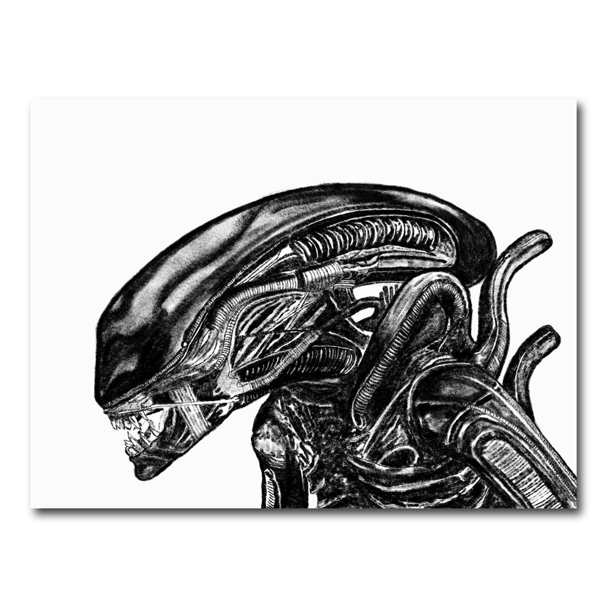 AUTO-MOCKUP WHITE | Alien Sketch | 1 Piece | Gallery Wrap Canvas | group=4x3