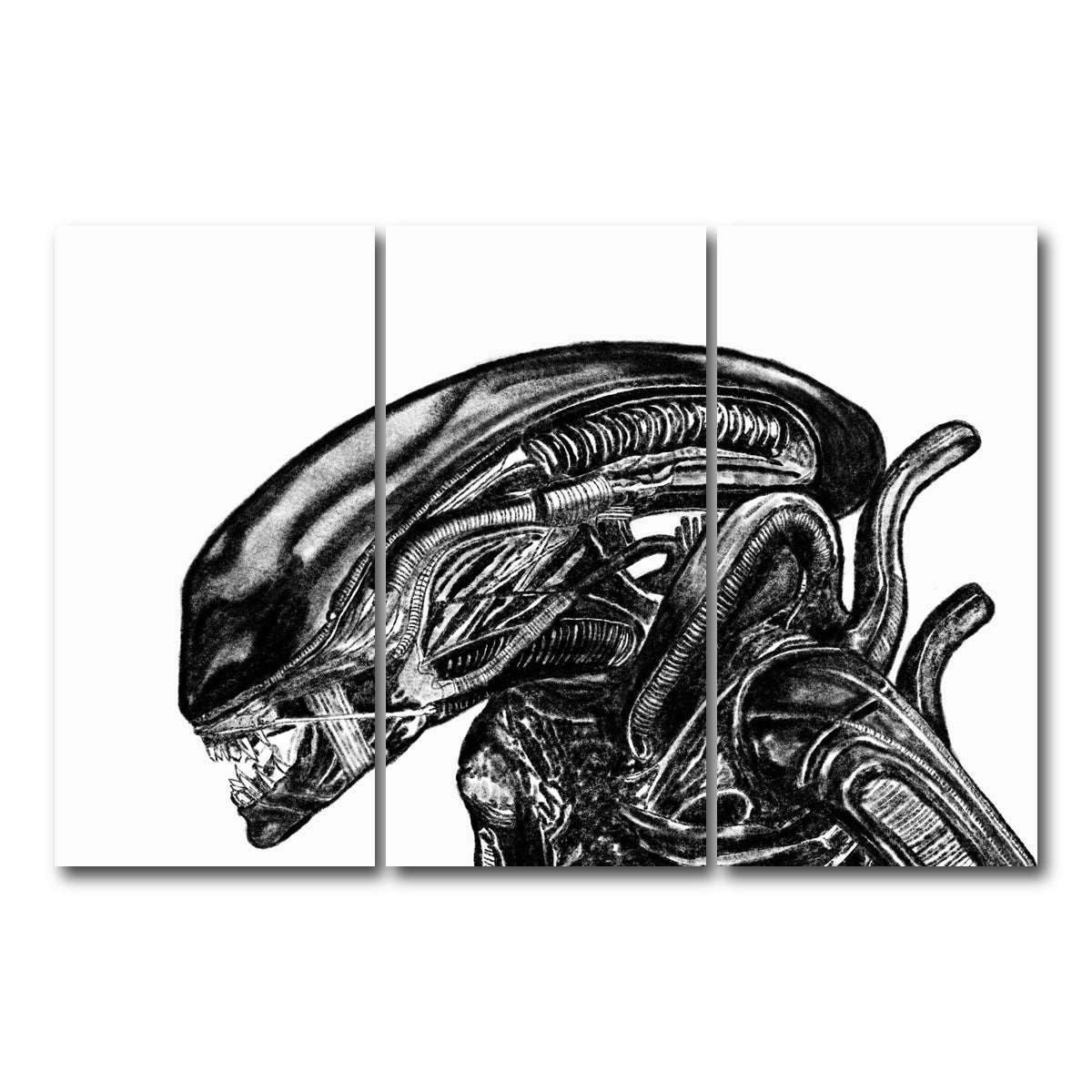 AUTO-MOCKUP WHITE | Alien Sketch | 3 Piece | Gallery Wrap Canvas | group=12x24