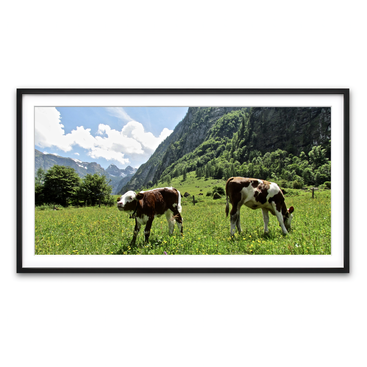 Framed Print 2x1 Black