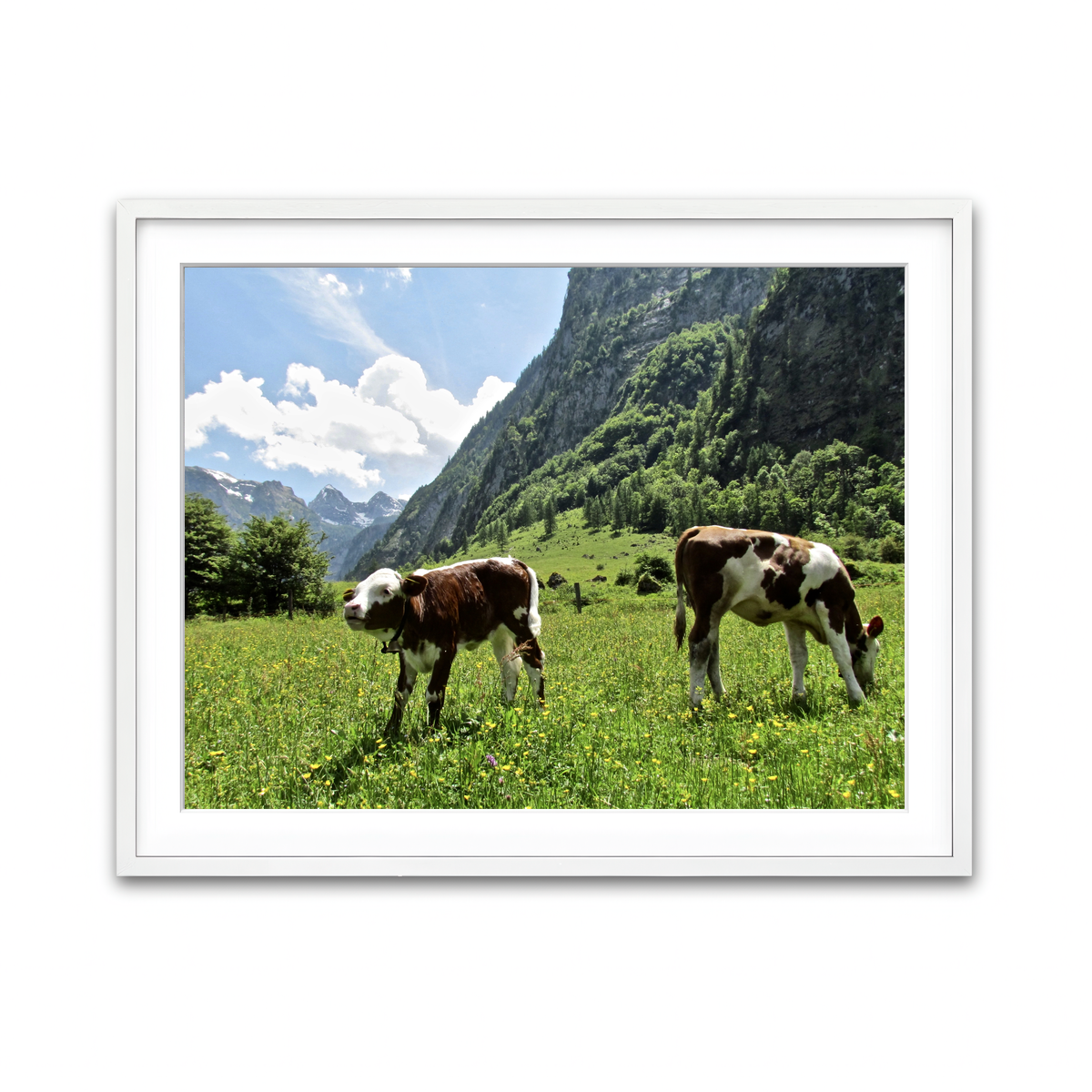 Framed Print 4x3 White