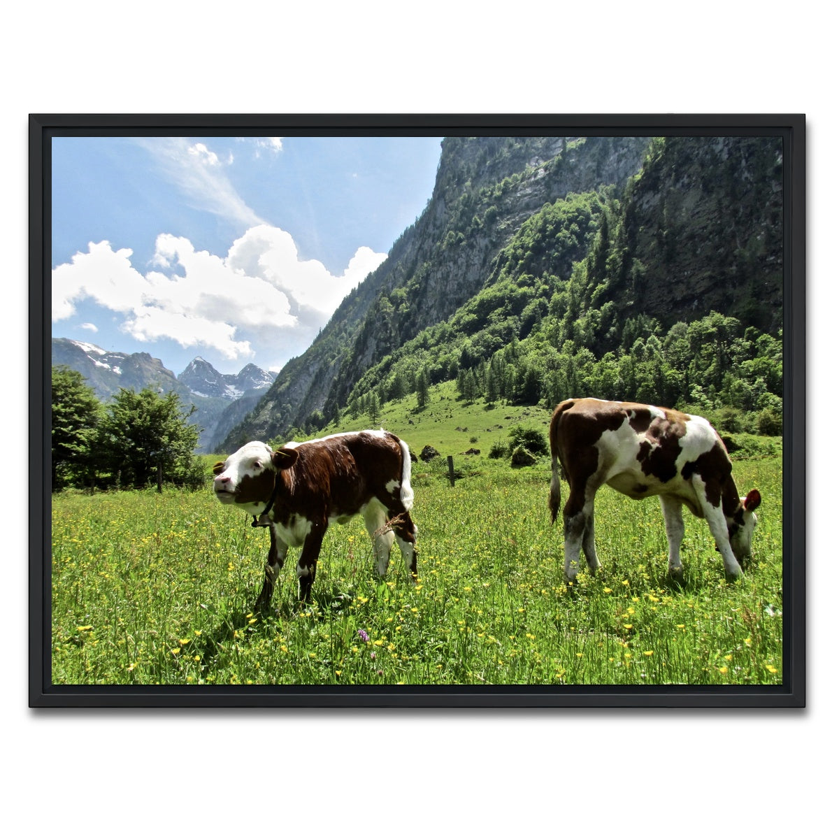AUTO-MOCKUP WHITE | Alpine Calf | 1 Piece | Black Framed Canvas | group=4x3
