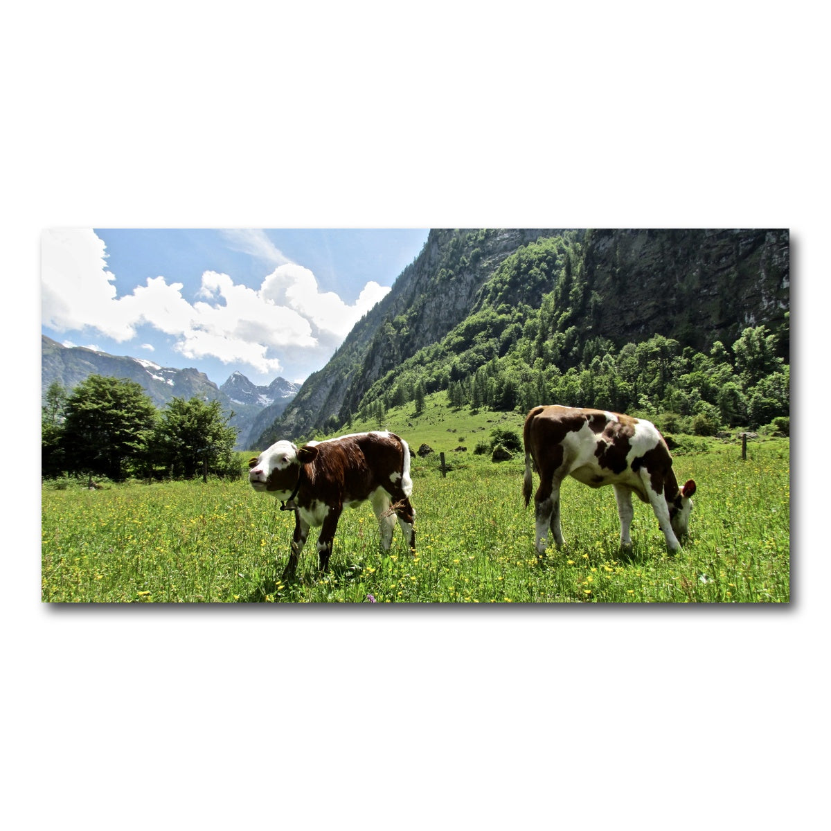 AUTO-MOCKUP WHITE | Alpine Calf | 1 Piece | Gallery Wrap Canvas | group=2x1