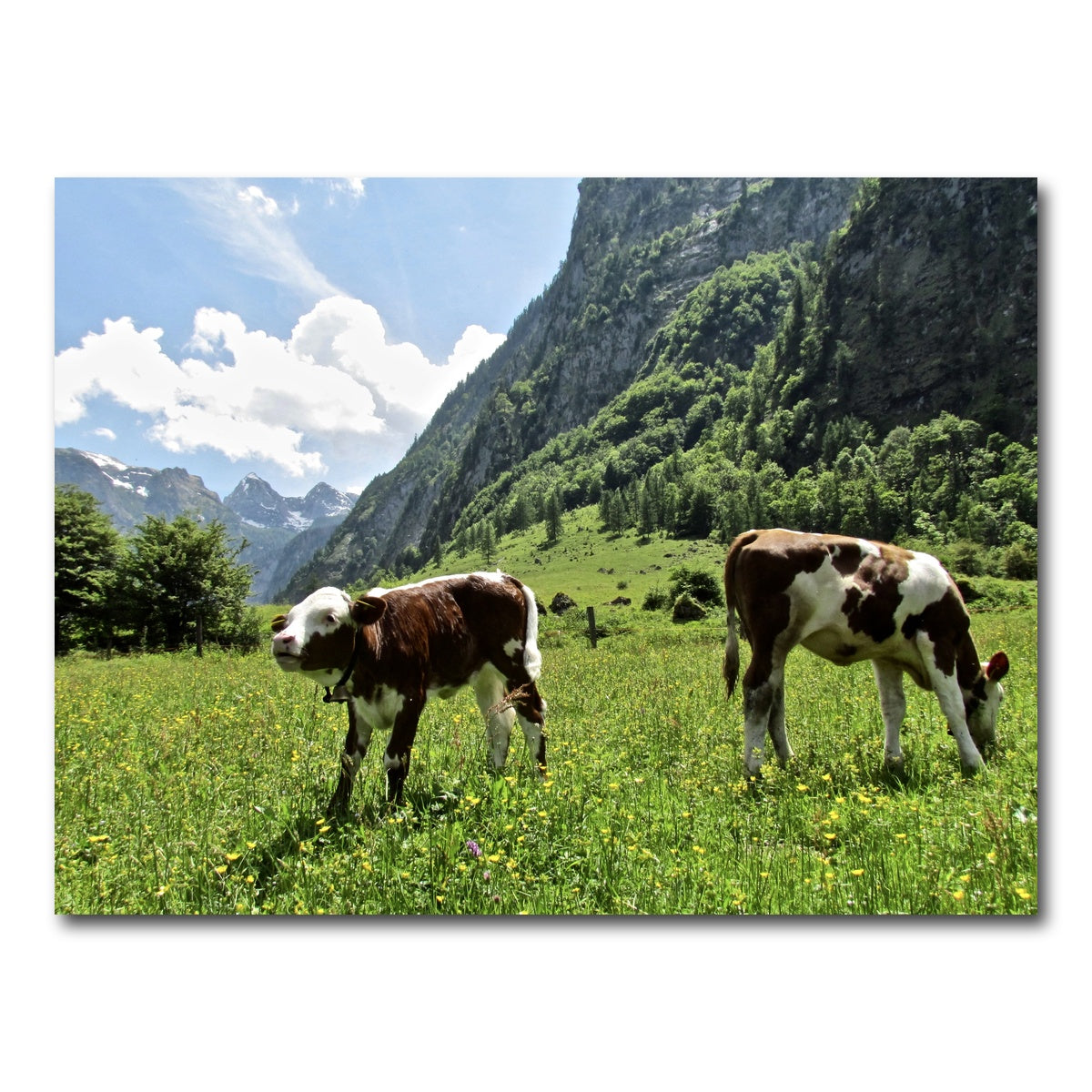 AUTO-MOCKUP WHITE | Alpine Calf | 1 Piece | Gallery Wrap Canvas | group=4x3