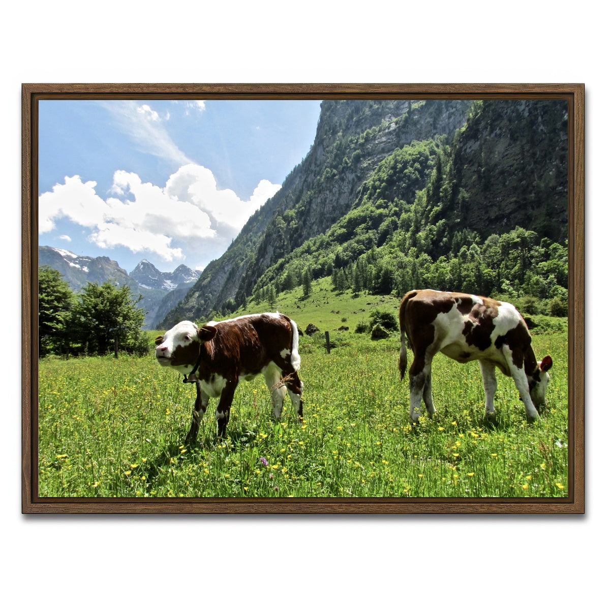 AUTO-MOCKUP WHITE | Alpine Calf | 1 Piece | Walnut Framed Canvas | group=4x3