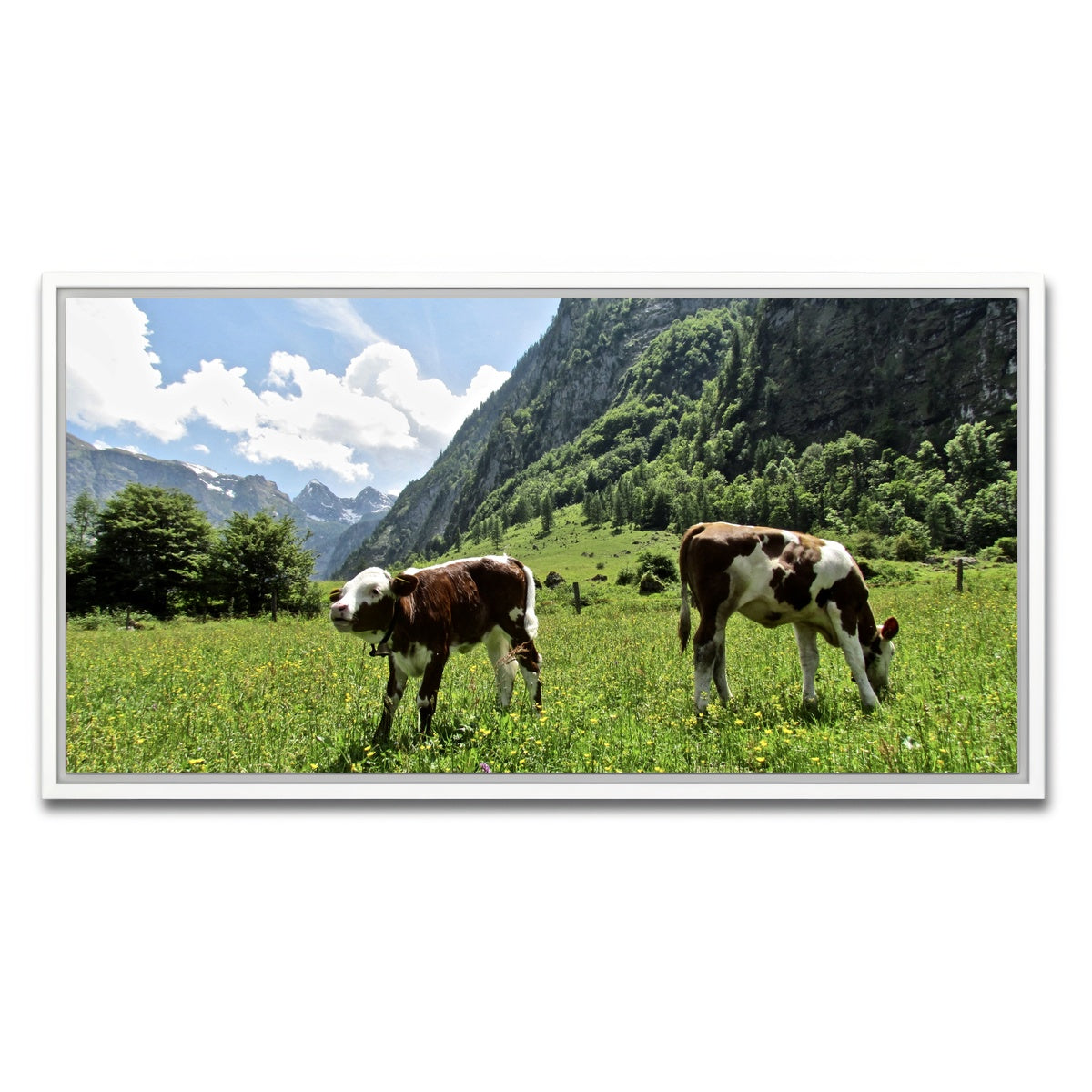 AUTO-MOCKUP WHITE | Alpine Calf | 1 Piece | White Framed Canvas | group=2x1