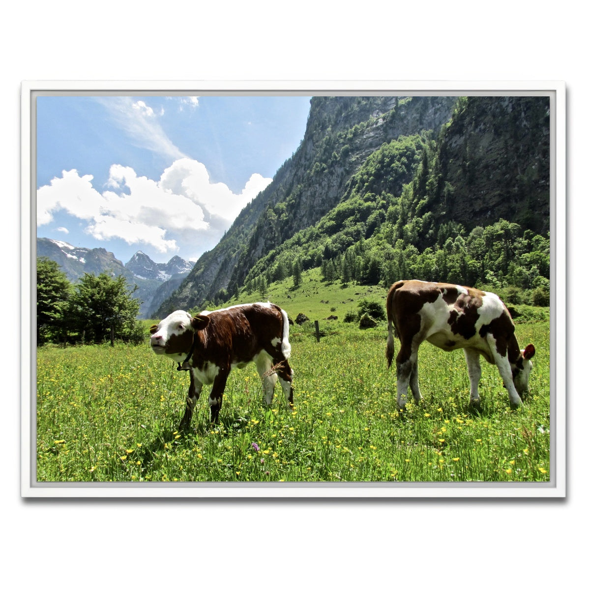 AUTO-MOCKUP WHITE | Alpine Calf | 1 Piece | White Framed Canvas | group=4x3