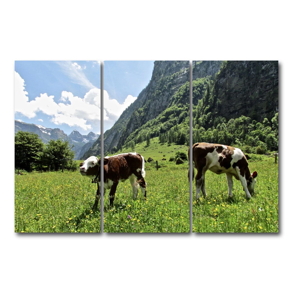 AUTO-MOCKUP WHITE | Alpine Calf | 3 Piece | Gallery Wrap Canvas | group=12x24