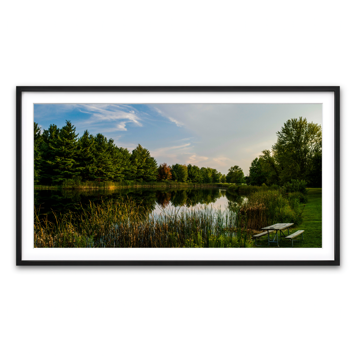 Framed Print 2x1 Black