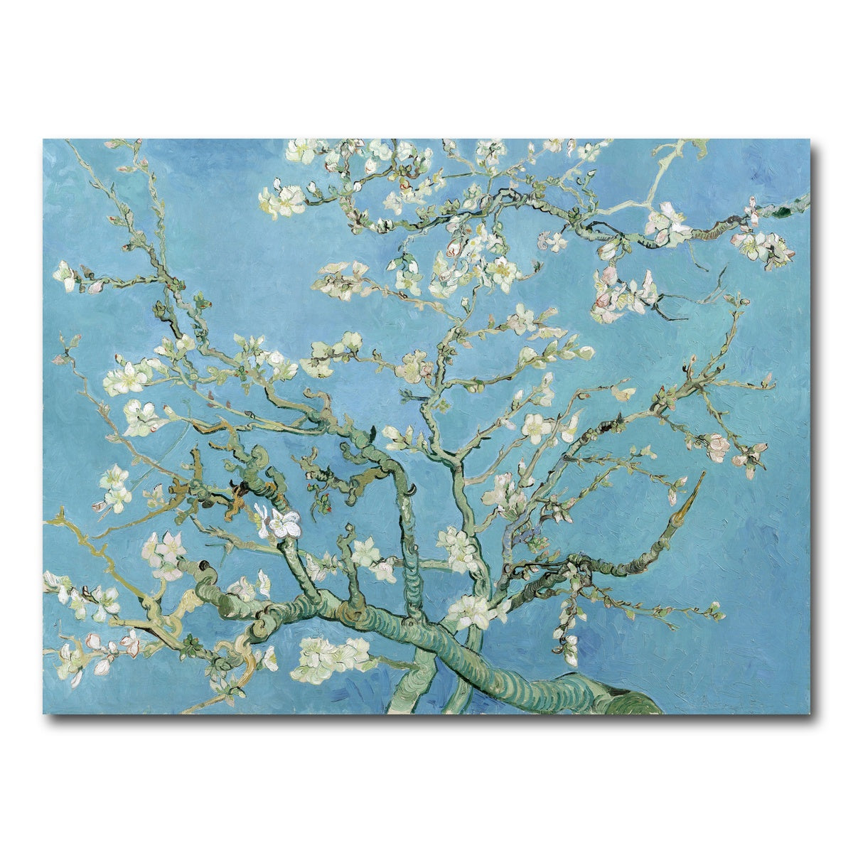 AUTO-MOCKUP WHITE | Amandelbloesem | 1 Piece | Gallery Wrap Canvas | group=4x3