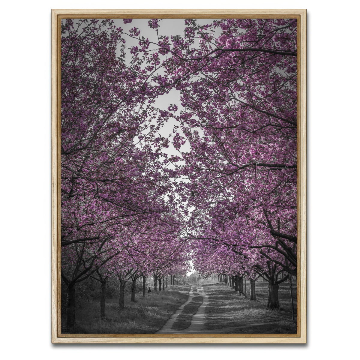 AUTO-MOCKUP WHITE | Amazing cherry blossom alley in pink | 1 Piece | Natural Framed Canvas | group=3x4