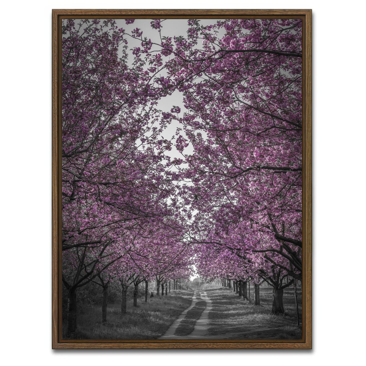 AUTO-MOCKUP WHITE | Amazing cherry blossom alley in pink | 1 Piece | Walnut Framed Canvas | group=3x4