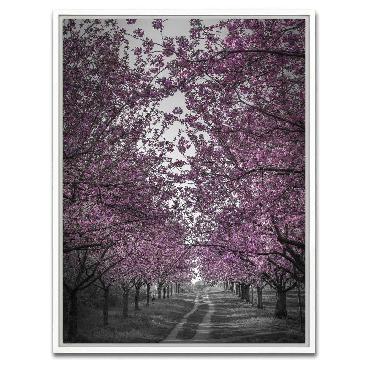 AUTO-MOCKUP WHITE | Amazing cherry blossom alley in pink | 1 Piece | White Framed Canvas | group=3x4