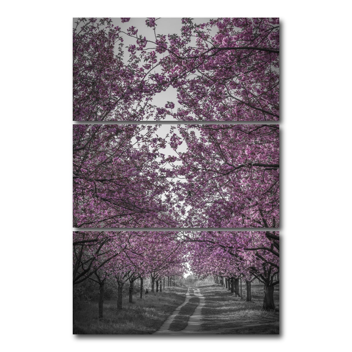 AUTO-MOCKUP WHITE | Amazing cherry blossom alley in pink | 3 Piece | Gallery Wrap Canvas | group=12x24_stacked