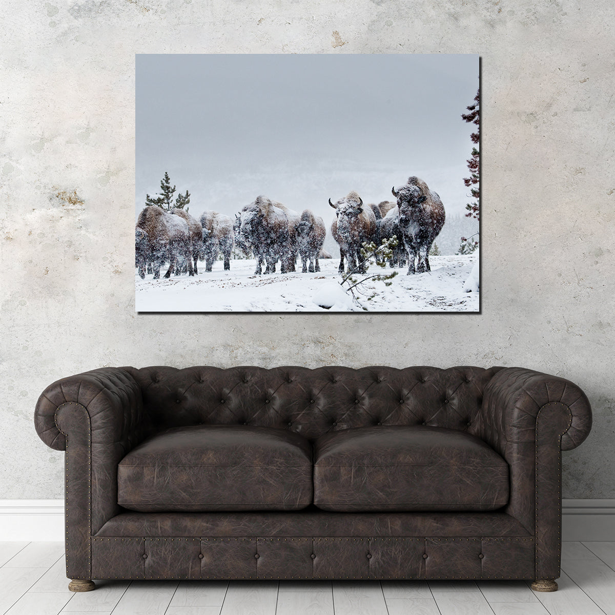 American Bison in Winter Snow Wall Art