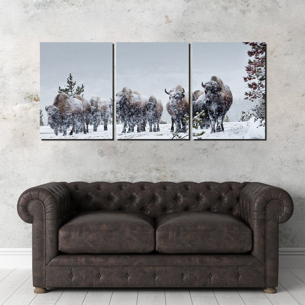 American Bison in Winter Snow Wall Art