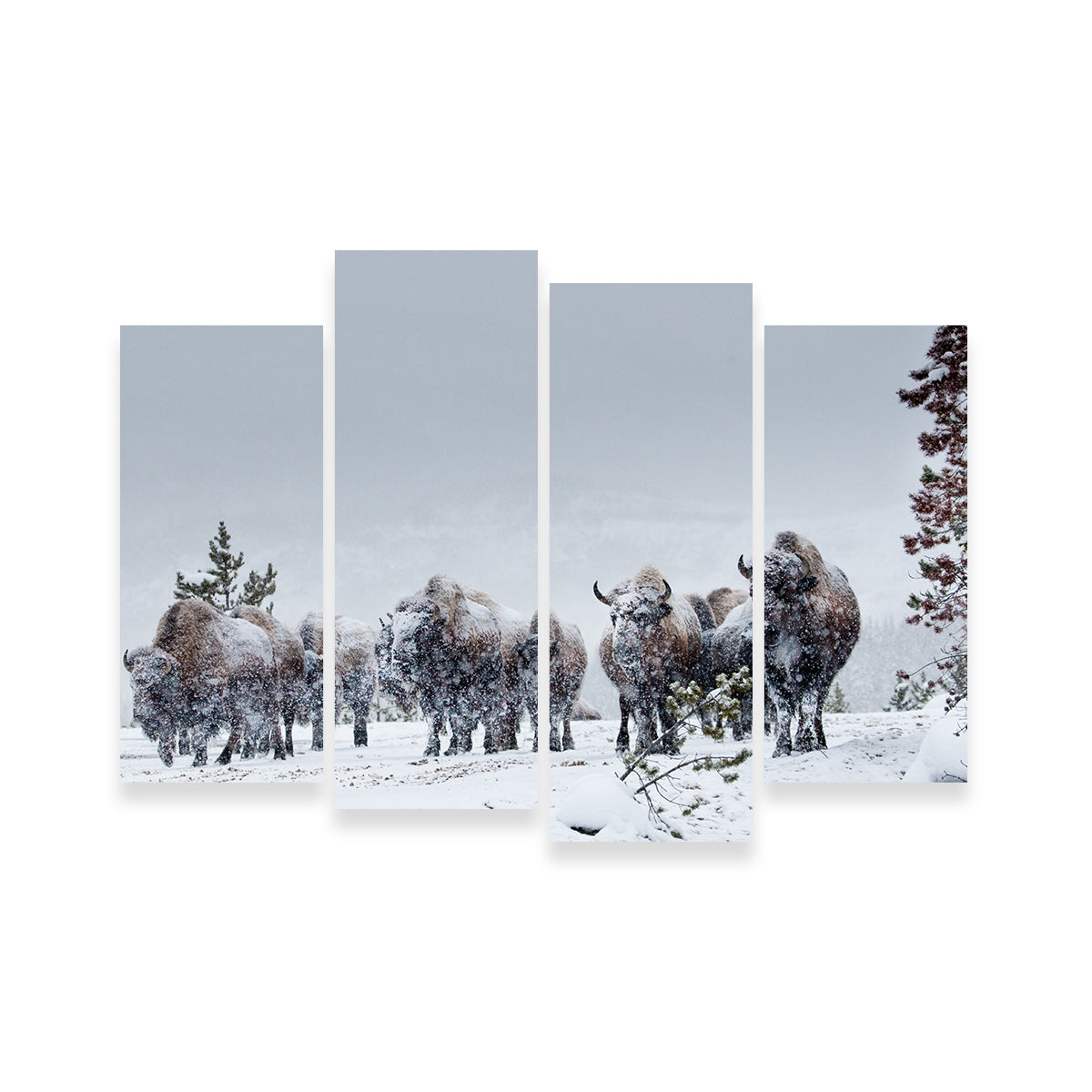 American Bison in Winter Snow Wall Art