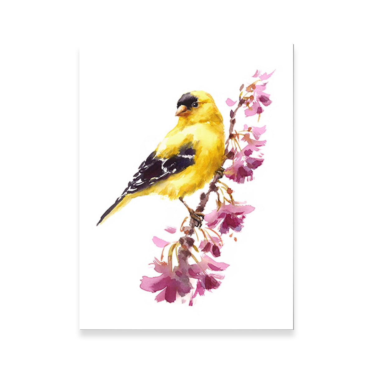 American Goldfinch Wall Art
