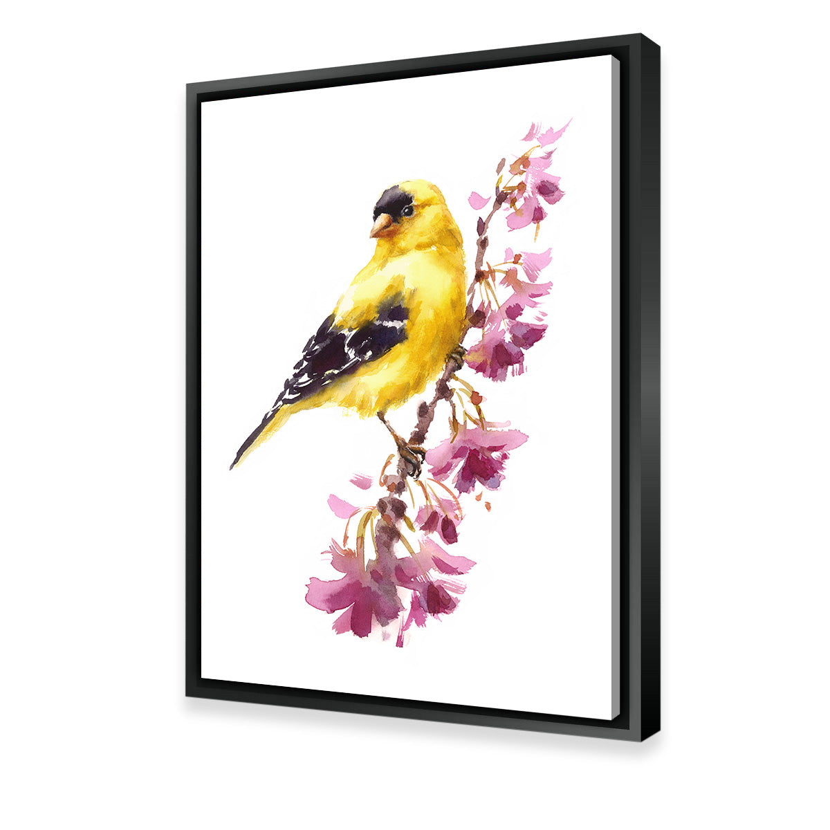 American Goldfinch Wall Art