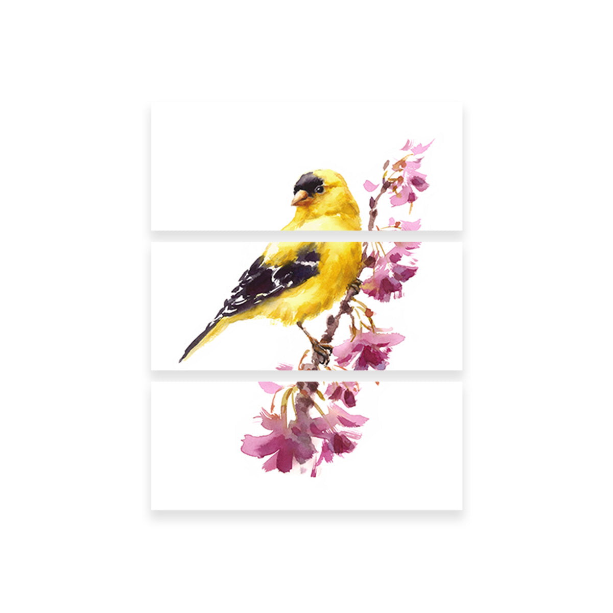 American Goldfinch Wall Art