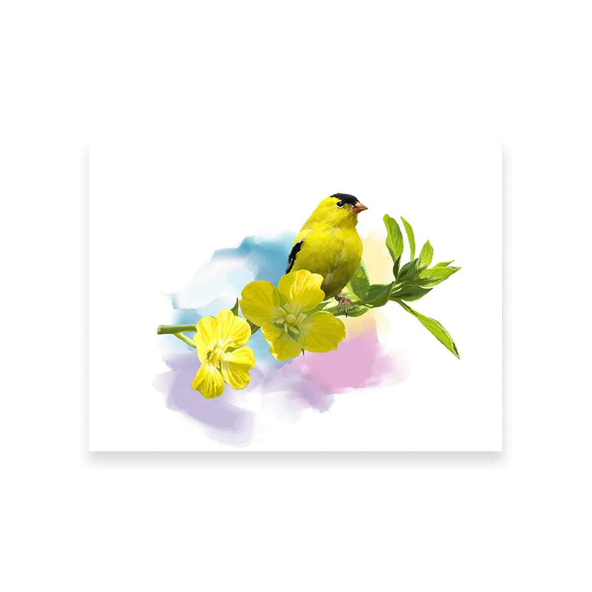 American Goldfinch Watercolor Wall Art