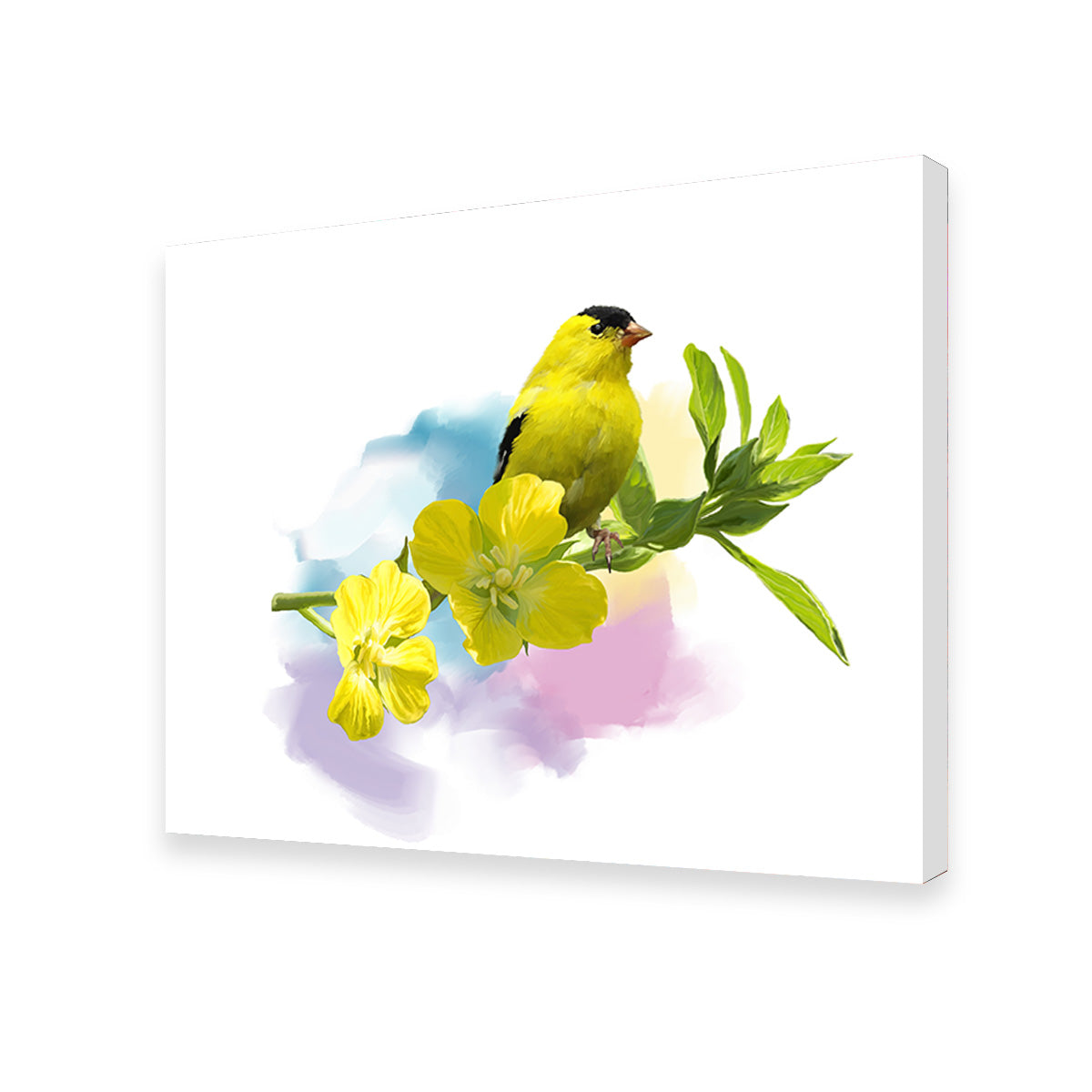 American Goldfinch Watercolor Wall Art