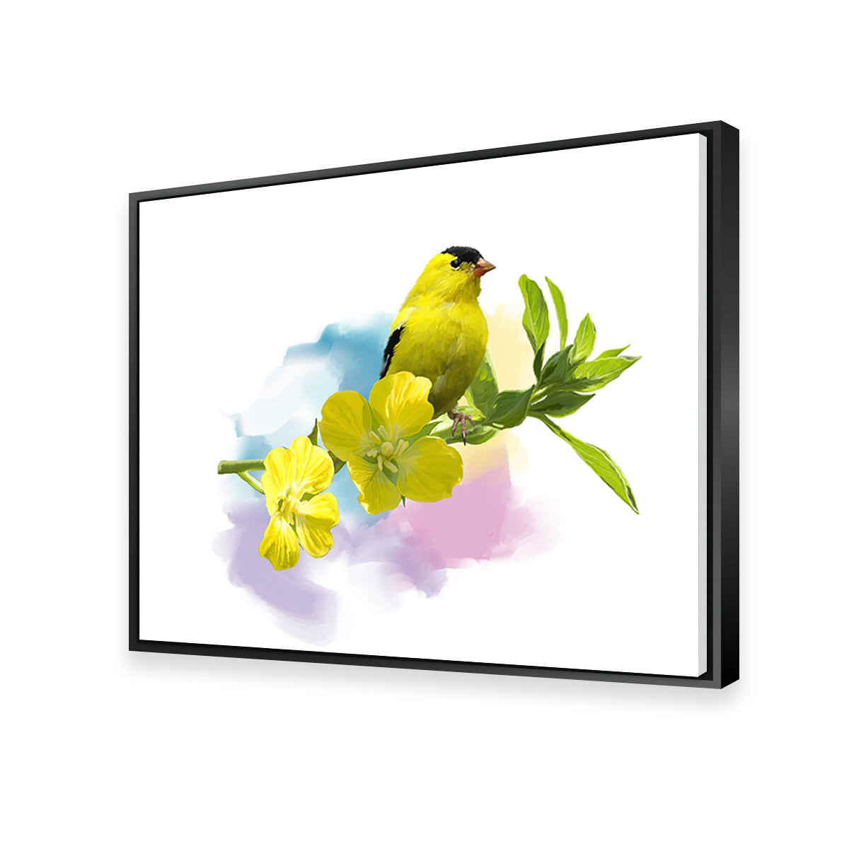 American Goldfinch Watercolor Wall Art