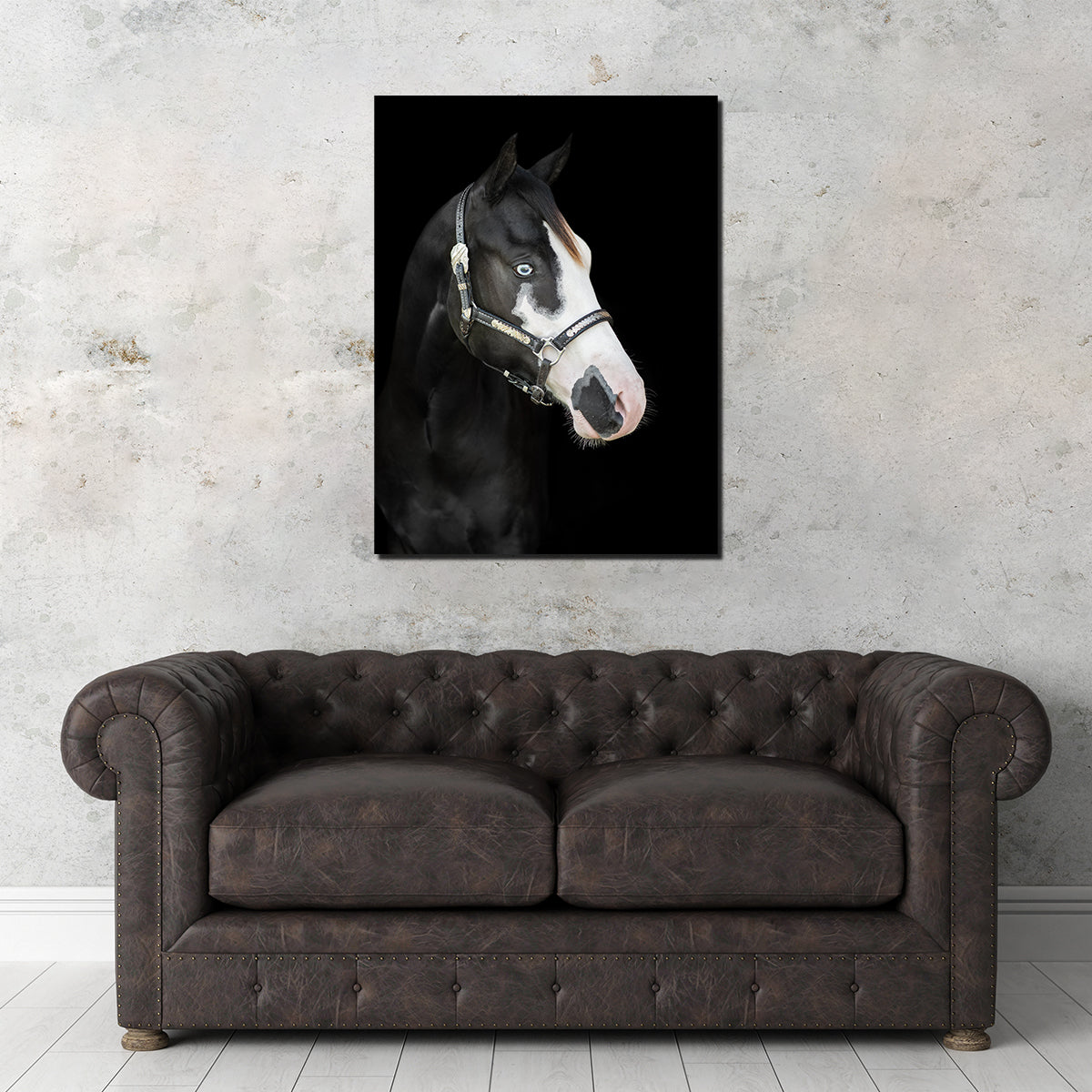 American Paint Horse Wall Art