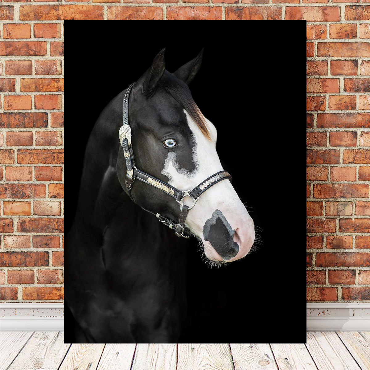 American Paint Horse Wall Art