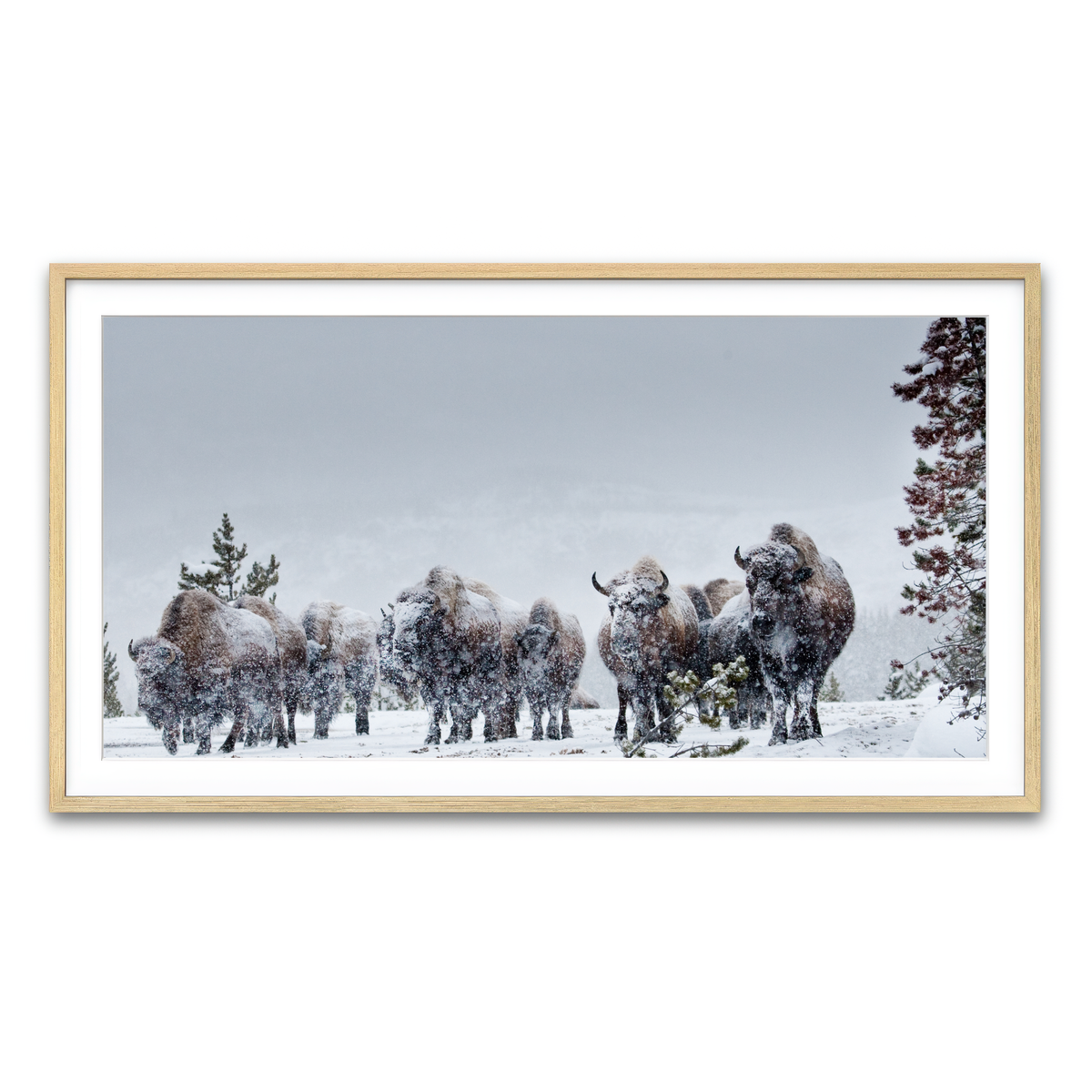 Framed Print 2x1 Natural