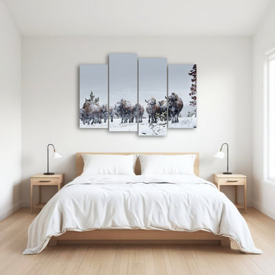 AUTO-MOCKUP ROOM | American Bison in Winter Snow