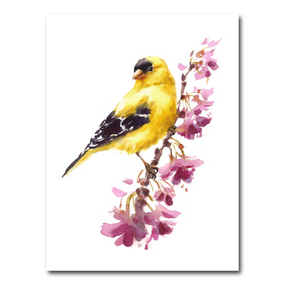 AUTO-MOCKUP WHITE | American Goldfinch | 1 Piece | Gallery Wrap Canvas | group=3x4