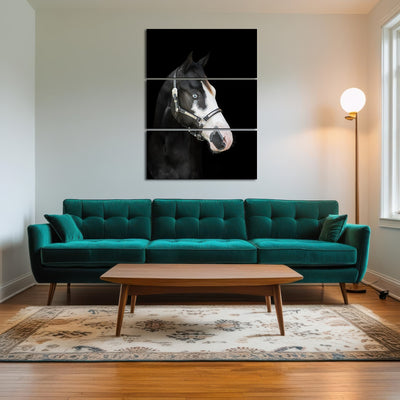 AUTO-MOCKUP ROOM | American Paint Horse