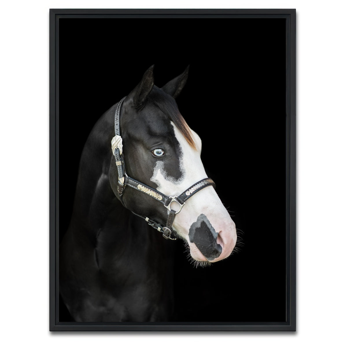 AUTO-MOCKUP WHITE | American Paint Horse | 1 Piece | Black Framed Canvas | group=3x4