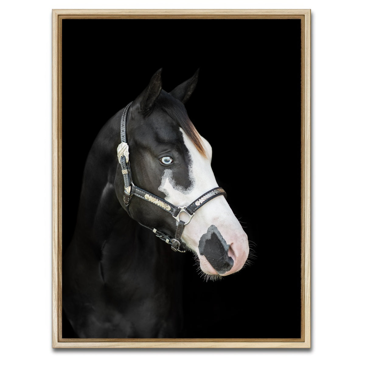 AUTO-MOCKUP WHITE | American Paint Horse | 1 Piece | Natural Framed Canvas | group=3x4