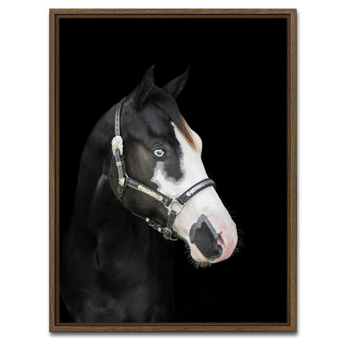 AUTO-MOCKUP WHITE | American Paint Horse | 1 Piece | Walnut Framed Canvas | group=3x4