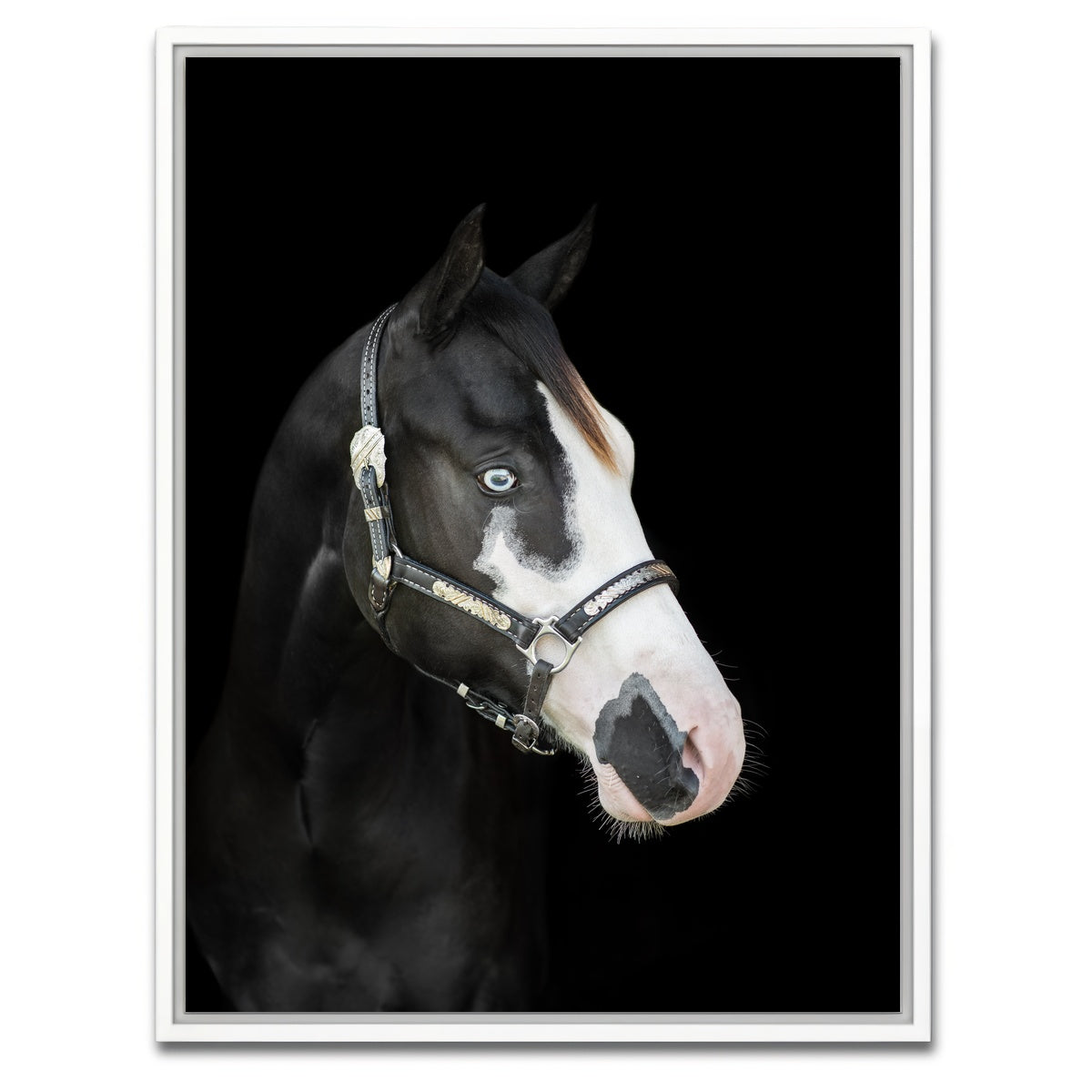 AUTO-MOCKUP WHITE | American Paint Horse | 1 Piece | White Framed Canvas | group=3x4