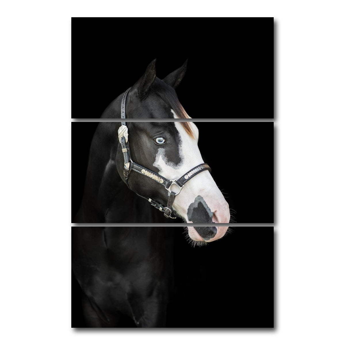 AUTO-MOCKUP WHITE | American Paint Horse | 3 Piece | Gallery Wrap Canvas | group=12x24_stacked