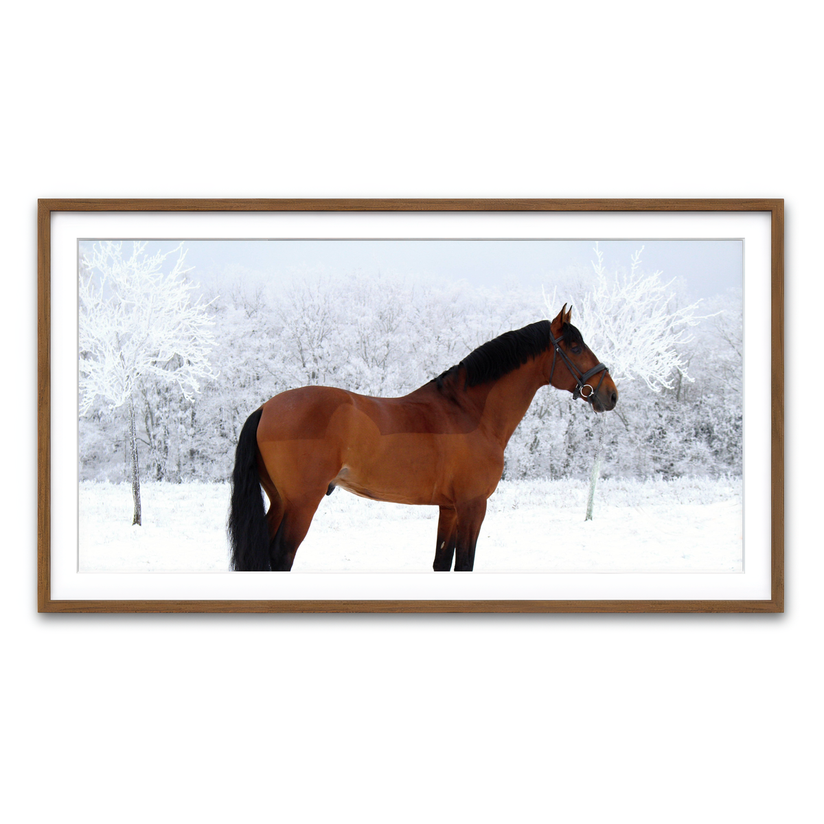 Framed Print 2x1 Walnut