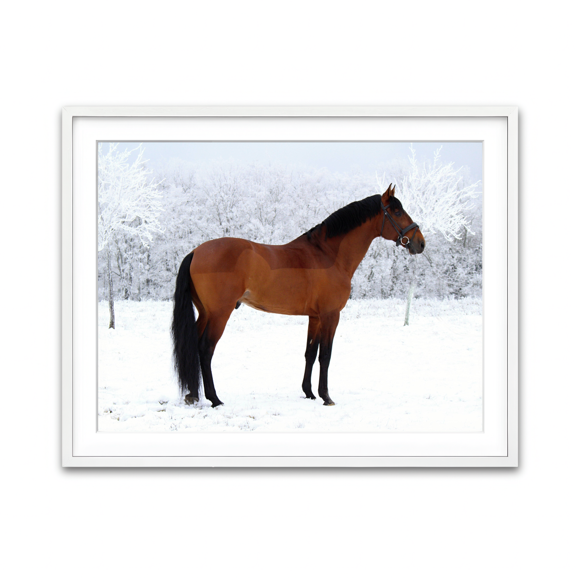 Framed Print 4x3 White