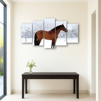 AUTO-MOCKUP ROOM | American Quarter Horse
