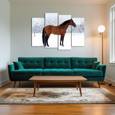AUTO-MOCKUP ROOM | American Quarter Horse