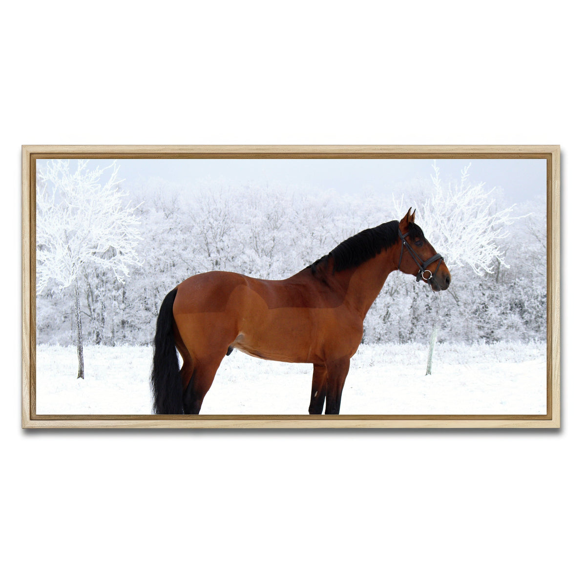 AUTO-MOCKUP WHITE | American Quarter Horse | 1 Piece | Natural Framed Canvas | group=2x1